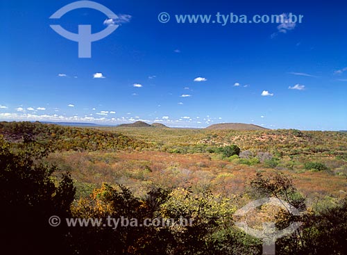  Subject: Capivara Mountain - Serra da Capivara National Park / Place: Piaui state (PI) - Brazil / Date: 08/2007 