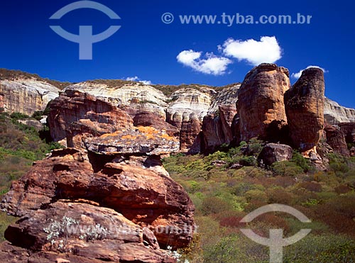  Subject: Capivara Mountain - Serra da Capivara National Park / Place: Piaui state (PI) - Brazil / Date: 08/2007 