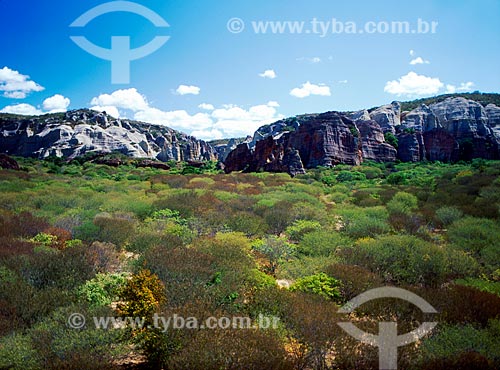  Subject: Capivara Mountain - Serra da Capivara National Park / Place: Piaui state (PI) - Brazil / Date: 08/2007 