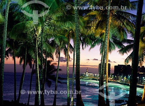  Subject: Jardim de Ala Garden in Salvador city / Place: Salvador city - Bahia state (BA) - Brazil / Date: 11/2008 