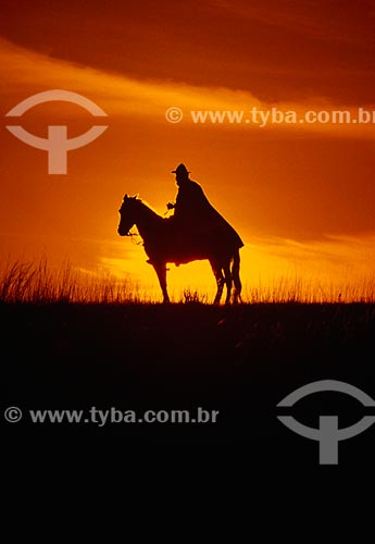  Subject: Man mounted on horse / Place: Rio Grande do Sul state (RS) - Brazil / Date: 08/2008 