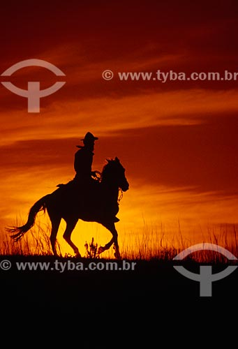  Subject: Man mounted on horse / Place: Rio Grande do Sul state (RS) - Brazil / Date: 11/2008 