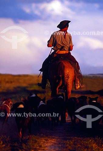  Subject: Man mounted on horse / Place: Rio Grande do Sul state (RS) - Brazil / Date: 11/2008 