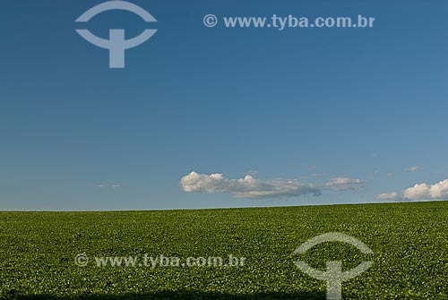  Subject: Soybeans plantation / Place: Cruz Alta city - Rio Grande do Sul state (RS) - Brazil / Date: 2009 