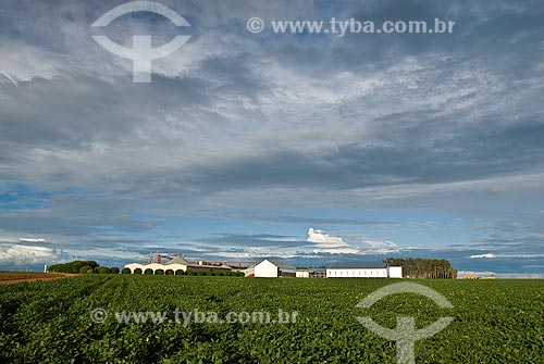  Subject: Soybeans plantation / Place: Baus district - Costa Rica city - Mato Grosso do Sul state (MS) - Brazil / Date: 2009 