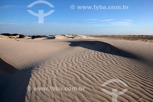  Subject: Dunes at Lagoa do Peixe National Park / Place: Mostardas city - Rio Grande do Sul state (RS) - Brazil / Date: 02/2012 