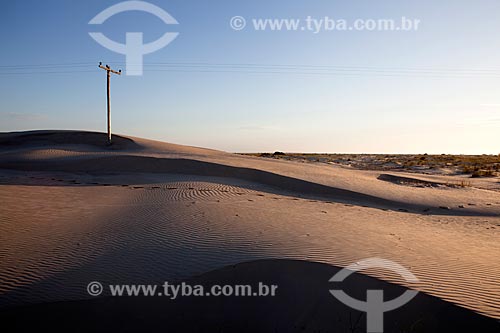  Subject: Electric power transmission in Lagoa do Peixe National Park / Place: Mostardas city - Rio Grande do Sul state (RS) - Brazil / Date: 02/2012 