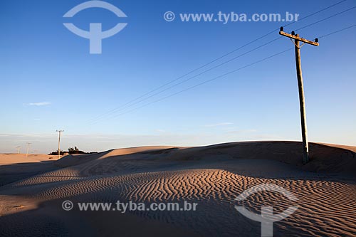 Subject: Electric power transmission in Lagoa do Peixe National Park / Place: Mostardas city - Rio Grande do Sul state (RS) - Brazil / Date: 02/2012 