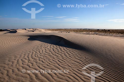  Subject: Dunes at Lagoa do Peixe National Park / Place: Mostardas city - Rio Grande do Sul state (RS) - Brazil / Date: 02/2012 