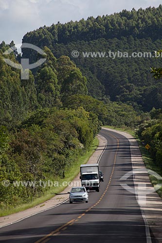  Subject: Highway BR-116 height of 347 KM with Pine plantation in the background / Place: Rio Grande do Sul state (RS) - Brazil / Date: 02/2012 