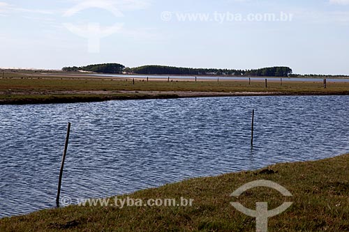  Subject: View of Lagoa do Peixe National Park / Place: Tavares city - Rio Grande do Sul state (RS) - Brazil / Date: 02/2012 
