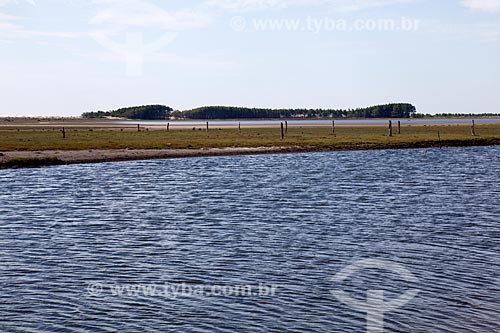  Subject: View of Lagoa do Peixe National Park / Place: Tavares city - Rio Grande do Sul state (RS) - Brazil / Date: 02/2012 