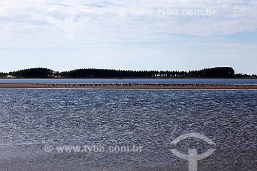  Subject: View of Lagoa do Peixe National Park / Place: Tavares city - Rio Grande do Sul state (RS) - Brazil / Date: 02/2012 