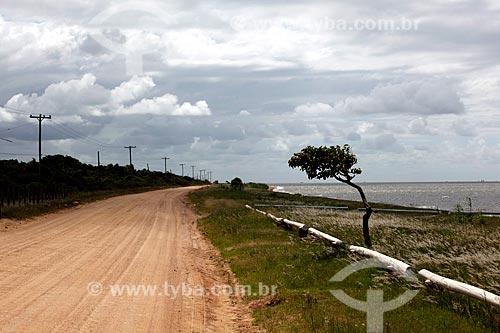  Subject: Dirt road that connects Laranjal to the fishing colony Z3 - Patos Lagoon / Place: Pelotas city - Rio Grande do Sul state (RS) - Brazil / Date: 02/2012 