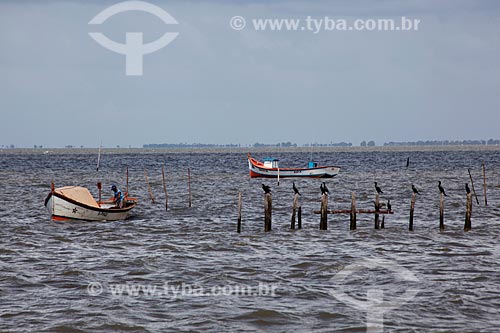 Subject: Fishing colony Z3 - Patos Lagoon / Place: Pelotas city - Rio Grande do Sul state (RS) - Brazil / Date: 02/2012 
