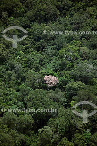  Subject: Aerial view of Amazon Forest - Mountains of Tumucumaque National Park / Place: Amapa state (AP) - Brazil / Date: 04/2012 