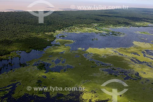  Subject: Aerial view of Biological Reserve Lago Pirantuba (Pirantuba Lake) / Place: Amapa state (AP) - Brazil / Date: 04/2012 