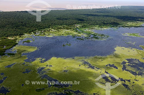  Subject: Aerial view of Biological Reserve Lago Pirantuba (Pirantuba Lake) / Place: Amapa state (AP) - Brazil / Date: 04/2012 