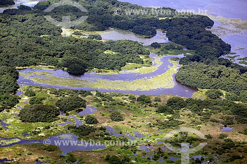  Subject: Aerial view of Biological Reserve Lago Pirantuba (Pirantuba Lake) / Place: Amapa state (AP) - Brazil / Date: 04/2012 