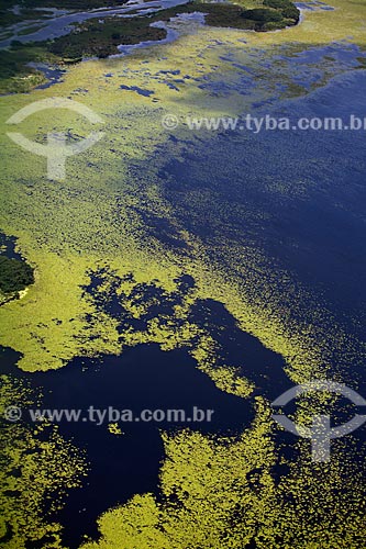  Subject: Aerial view of Biological Reserve Lago Pirantuba (Pirantuba Lake) / Place: Amapa state (AP) - Brazil / Date: 04/2012 