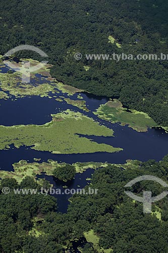  Subject: Aerial view of Biological Reserve Lago Pirantuba (Pirantuba Lake) / Place: Amapa state (AP) - Brazil / Date: 04/2012 