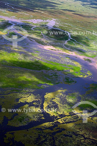  Subject: Aerial view of Biological Reserve Lago Pirantuba (Pirantuba Lake) / Place: Amapa state (AP) - Brazil / Date: 04/2012 