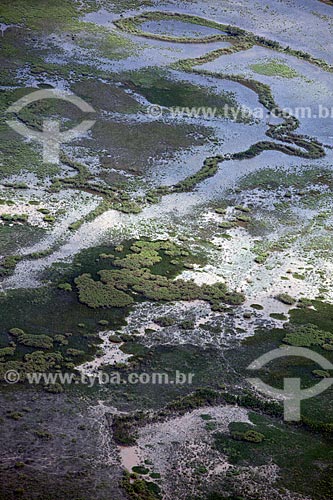  Subject: Aerial view of Parazinho island in the Bailique archipelago / Place: Amapa state (AP) - Brazil / Date: 04/2012 