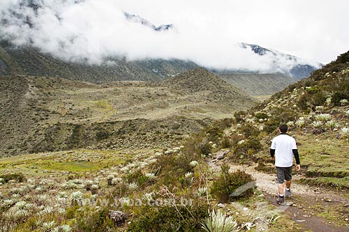  Subject: Trail to Pan de Azucar Mountain in Sierra de la Culata National Park / Place: Merida city - Merida state - Venezuela - South America / Date: 05/2012 