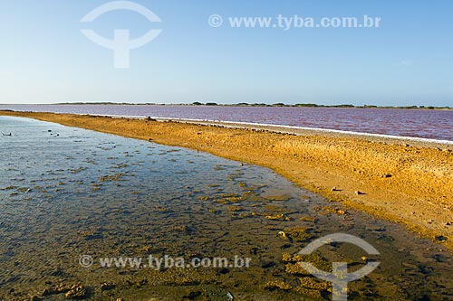  Subject: Las Cumaraguas Salines in Paraguana Peninsula - Point the most northern in Venezuela / Place: Falcon city - Falcon state - Venezuela - South America / Date: 05/2012 