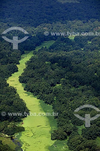  Subject: Aerial view of Biological Reserve Lago Pirantuba (Pirantuba Lake) / Place: Amapa state (AP) - Brazil / Date: 04/2012 