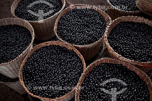  Subject: Baskets with acai fruit in the Santana market (Beirada de Santana)  / Place: Santana city - Amapa state (AP) - Brazil / Date: 04/2012 