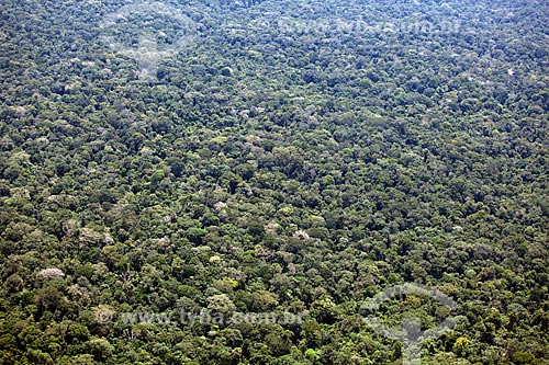  Subject: Aerial view of Amazon Forest - Mountains of Tumucumaque National Park / Place: Amapa state (AP) - Brazil / Date: 04/2012 