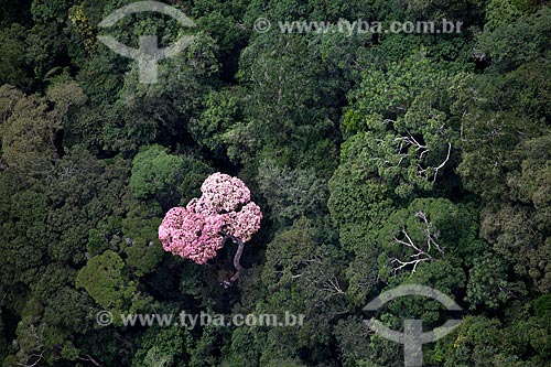  Subject: Aerial view of Amazon Forest - Mountains of Tumucumaque National Park / Place: Amapa state (AP) - Brazil / Date: 04/2012 