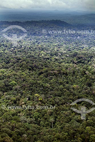  Subject: Aerial view of Amazon Forest - Mountains of Tumucumaque National Park / Place: Amapa state (AP) - Brazil / Date: 04/2012 