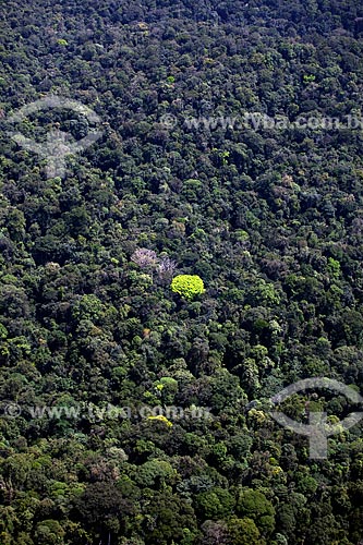  Subject: Aerial view of Amazon Forest - Mountains of Tumucumaque National Park / Place: Amapa state (AP) - Brazil / Date: 04/2012 