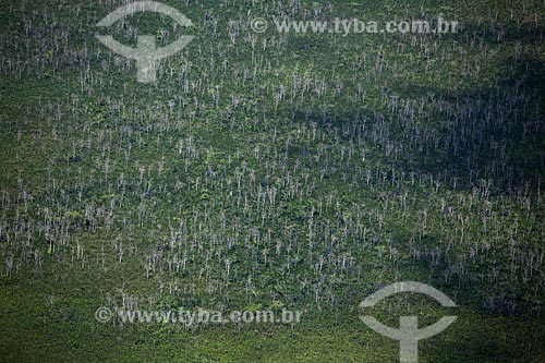  Subject: Aerial view of Biological Reserve Lago Pirantuba (Pirantuba Lake) / Place: Amapa state (AP) - Brazil / Date: 04/2012 
