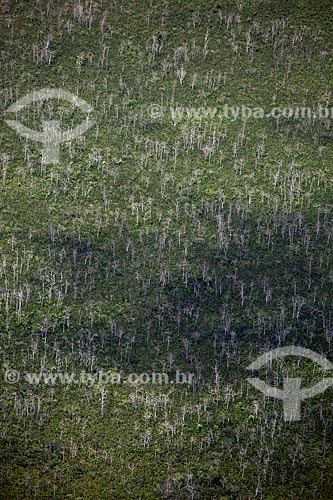  Subject: Aerial view of Biological Reserve Lago Pirantuba (Pirantuba Lake) / Place: Amapa state (AP) - Brazil / Date: 04/2012 