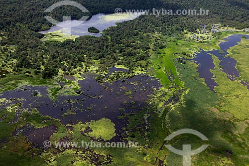  Subject: Aerial view of Biological Reserve Lago Pirantuba (Pirantuba Lake) / Place: Amapa state (AP) - Brazil / Date: 04/2012 