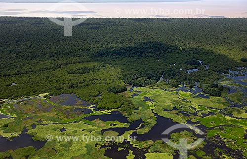  Subject: Aerial view of Biological Reserve Lago Pirantuba (Pirantuba Lake) / Place: Amapa state (AP) - Brazil / Date: 04/2012 