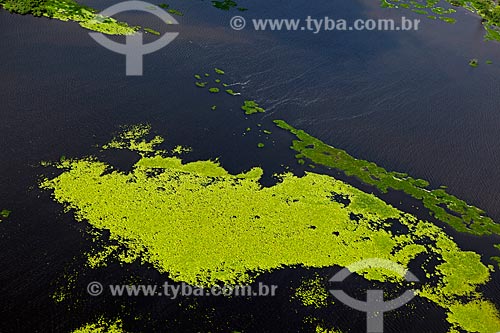  Subject: Aerial view of Biological Reserve Lago Pirantuba (Pirantuba Lake) / Place: Amapa state (AP) - Brazil / Date: 04/2012 