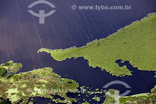  Subject: Aerial view of Biological Reserve Lago Pirantuba (Pirantuba Lake) / Place: Amapa state (AP) - Brazil / Date: 04/2012 