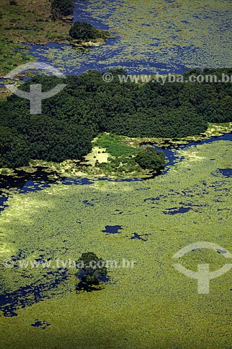  Subject: Aerial view of Biological Reserve Lago Pirantuba (Pirantuba Lake) / Place: Amapa state (AP) - Brazil / Date: 04/2012 