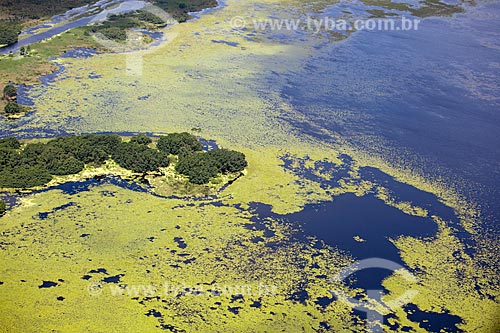  Subject: Aerial view of Biological Reserve Lago Pirantuba (Pirantuba Lake) / Place: Amapa state (AP) - Brazil / Date: 04/2012 