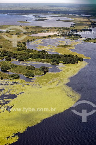  Subject: Aerial view of Biological Reserve Lago Pirantuba (Pirantuba Lake) / Place: Amapa state (AP) - Brazil / Date: 04/2012 