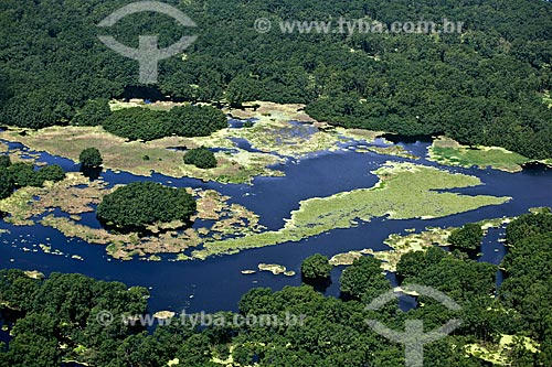  Subject: Aerial view of Biological Reserve Lago Pirantuba (Pirantuba Lake) / Place: Amapa state (AP) - Brazil / Date: 04/2012 