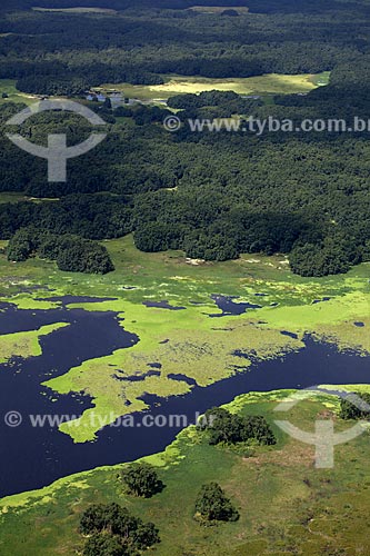  Subject: Aerial view of Biological Reserve Lago Pirantuba (Pirantuba Lake) / Place: Amapa state (AP) - Brazil / Date: 04/2012 