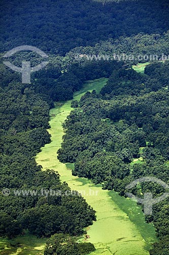  Subject: Aerial view of Biological Reserve Lago Pirantuba (Pirantuba Lake) / Place: Amapa state (AP) - Brazil / Date: 04/2012 