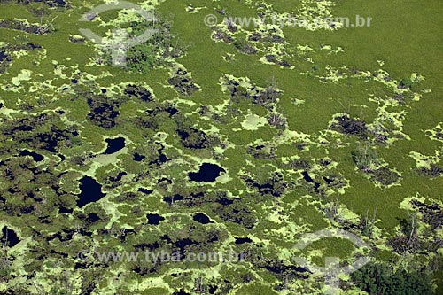  Subject: Aerial view of Biological Reserve Lago Pirantuba (Pirantuba Lake) / Place: Amapa state (AP) - Brazil / Date: 04/2012 