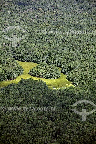  Subject: Aerial view of Biological Reserve Lago Pirantuba (Pirantuba Lake) / Place: Amapa state (AP) - Brazil / Date: 04/2012 