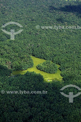  Subject: Aerial view of Biological Reserve Lago Pirantuba (Pirantuba Lake) / Place: Amapa state (AP) - Brazil / Date: 04/2012 
